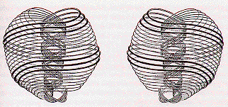 Compton Radius Vortex