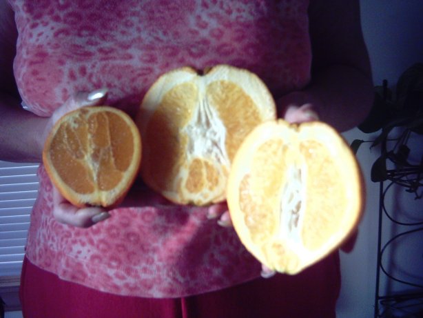 Cut Oranges Cut Oranges