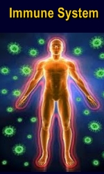 Ormus Minerals Immune System and Chaga Mushrooms Ormus Minerals Immune System and Chaga Mushrooms