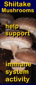 Ormus Minerals -SHITAKE Mushrooms can help support immune system activity