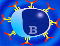 Ormus Minerals Rainbow Ocean Nectar Marine Phytoplankton - lymphocytes Ormus Minerals Ocean Nectar Marine Phytoplankton - lymphocytes