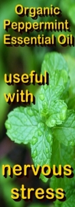 Ormus Minerals -Pure Magnesium Oil with Organic Peppermint E O Ormus Minerals -Pure Magnesium Oil with Organic Peppermint E O