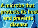 Ormus Minerals Probiotics definition Ormus Minerals Probiotics definition